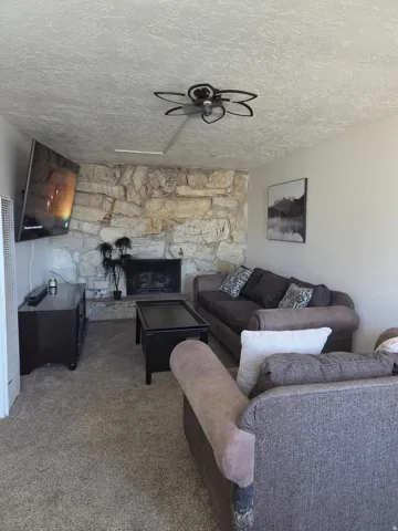Stone-clad fireplace with a hearth, wall-mounted heater, and carpeted flooring