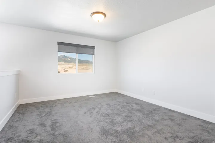 Light-filled room featuring grey carpeting, white walls, a window with a grey roller blind, and a flush-mount ceiling light