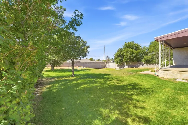 Spacious grass lawn featuring mature trees and a privacy hedge