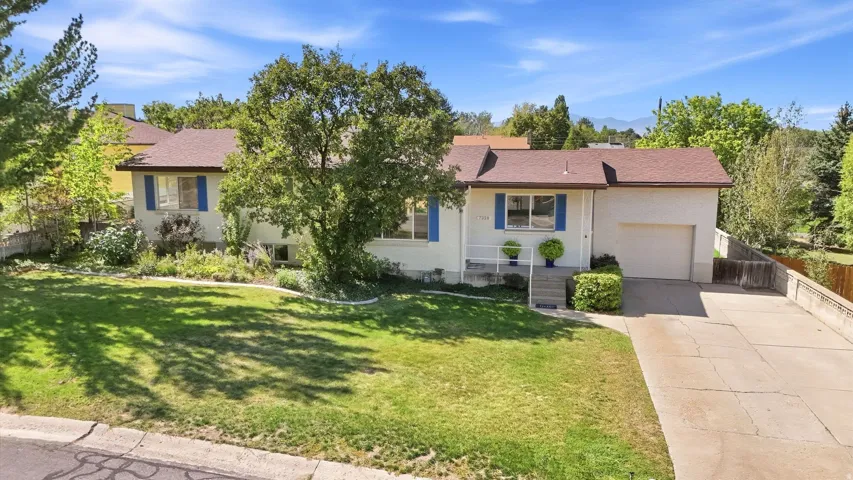 Mature trees, a well-maintained lawn, a concrete driveway, and a single-car garage