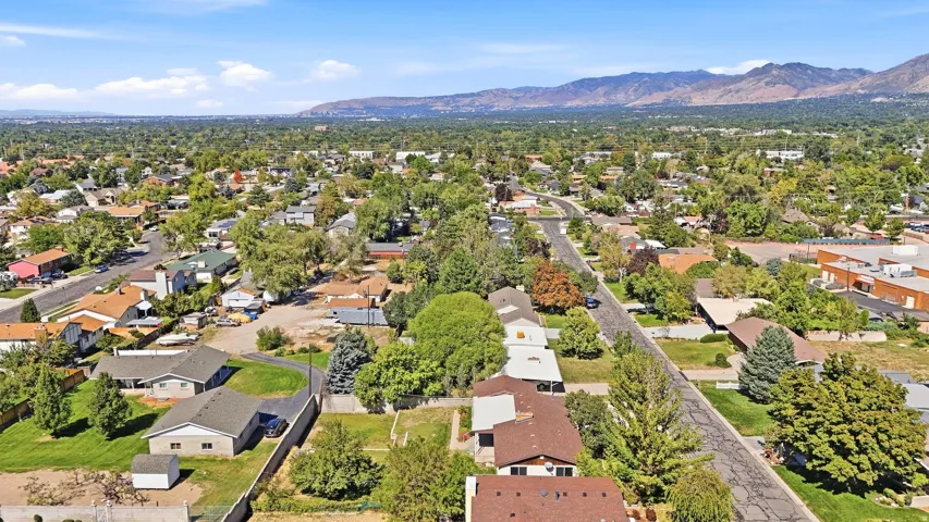 Expansive residential neighborhood with mature trees, paved streets, and distant mountain scenery