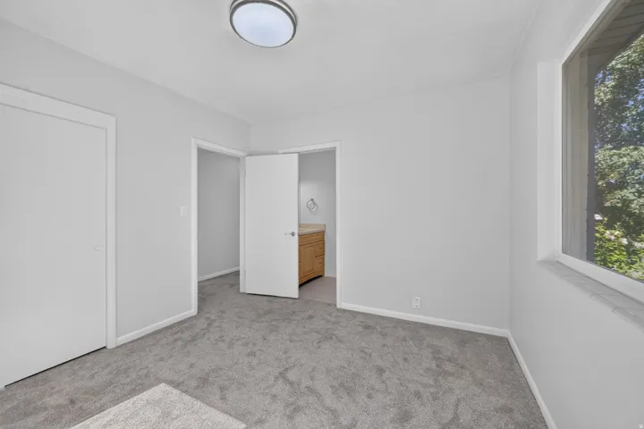 Plush carpeting, a large window, a ceiling-mounted light fixture, and a built-in closet