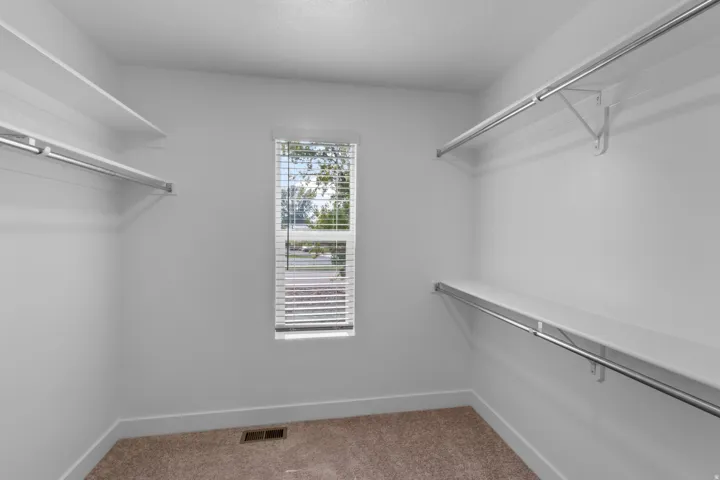Walk-in closet featuring white walls, a single window with blinds, carpet flooring, and integrated shelving and hanging rods
