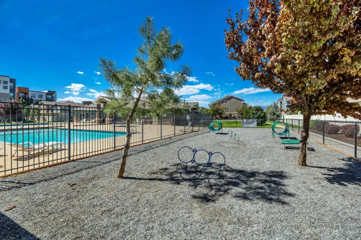 Pet park featuring agility equipment and a gravel surface, adjacent to a fenced swimming pool with chaise lounges