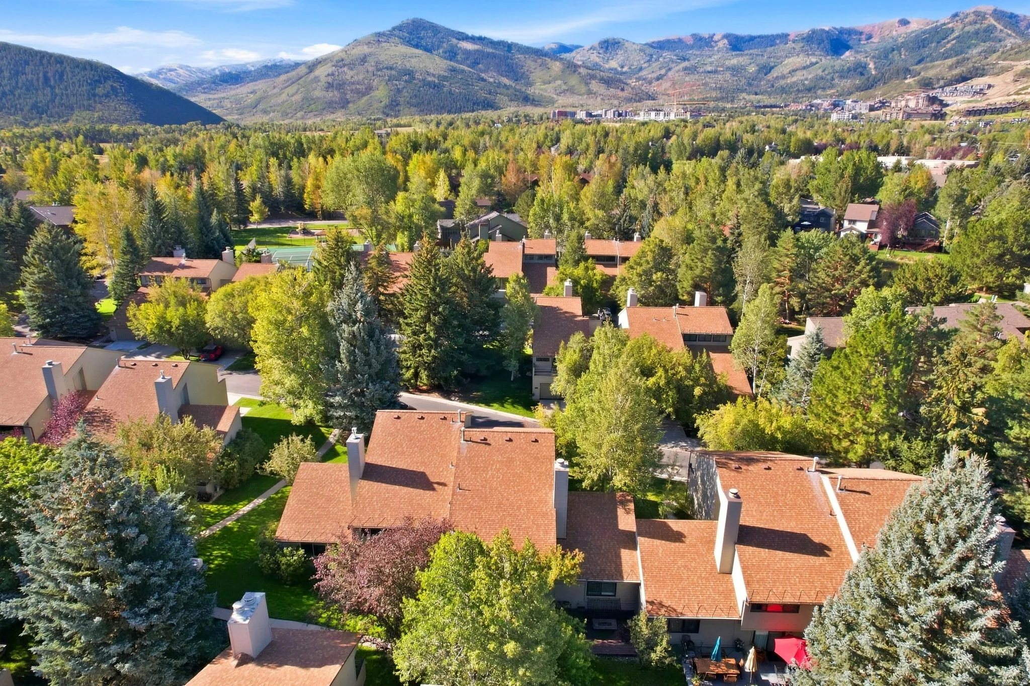 Mountain backdrop with expansive tree coverage and residential structures