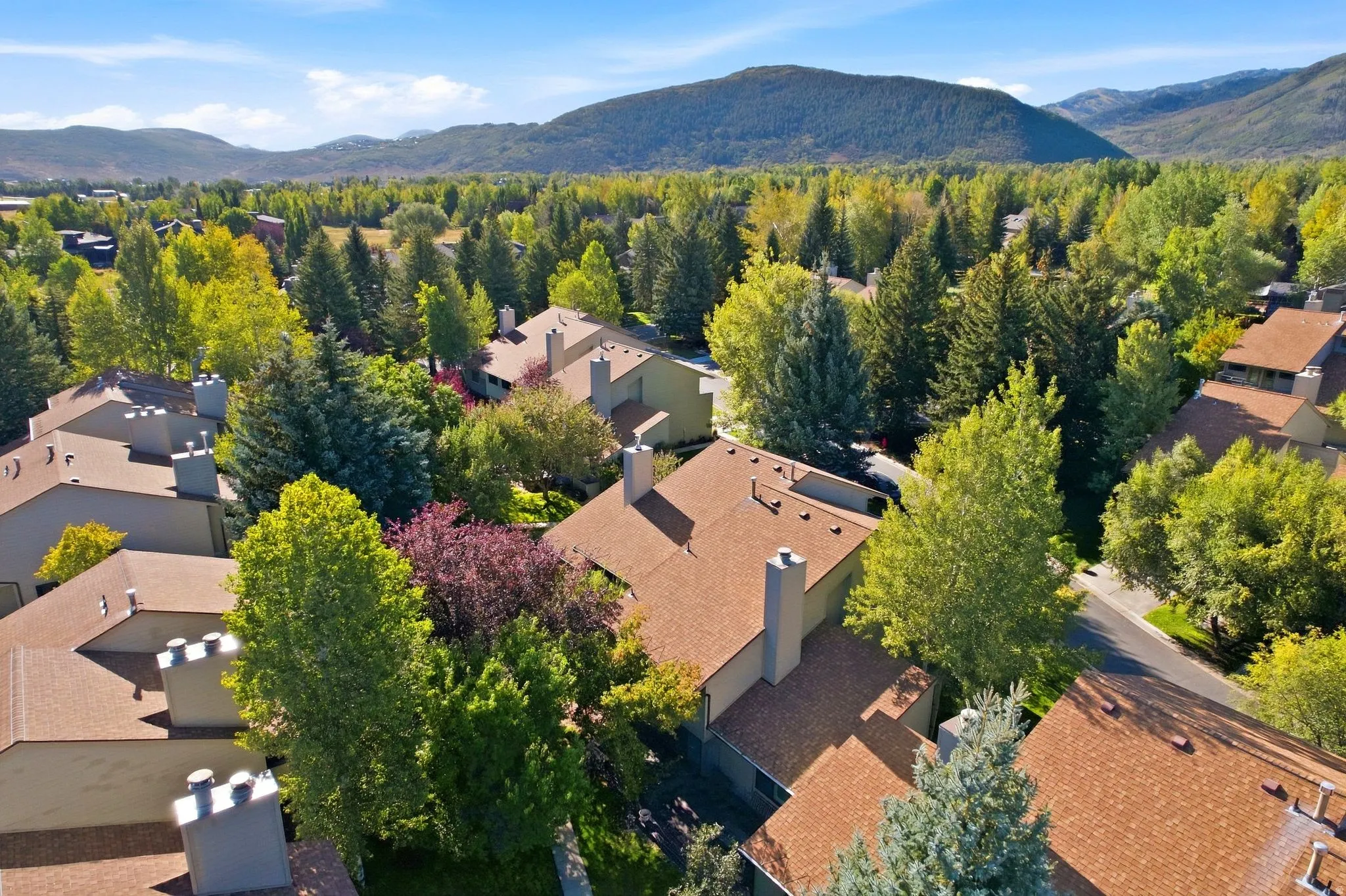 Mountain landscape backdrop, expansive tree coverage, paved roadways, residential rooftops, and chimneys