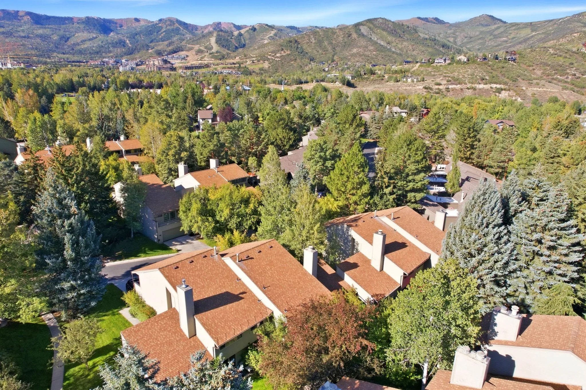 Aerial perspective of residences with brown shingle roofs, surrounded by mature trees