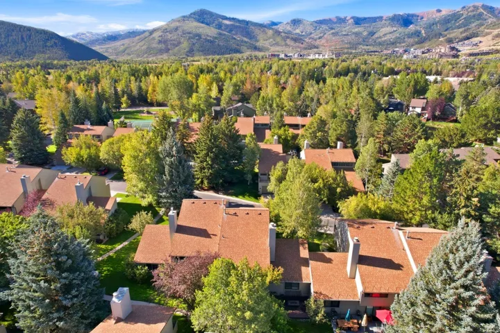 Mountain backdrop with expansive tree coverage and residential structures