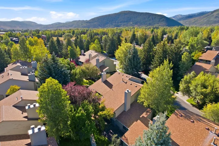 Mountain landscape backdrop, expansive tree coverage, paved roadways, residential rooftops, and chimneys