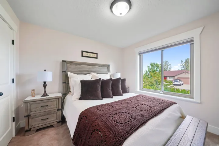 Plush carpeting, large window with ample natural light, and a ceiling-mounted light fixture