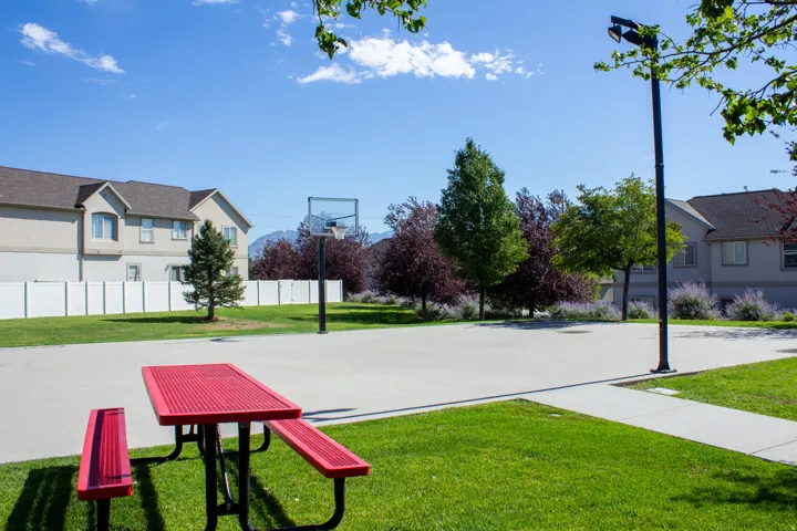 Recreational court, basketball hoop, and picnic amenities