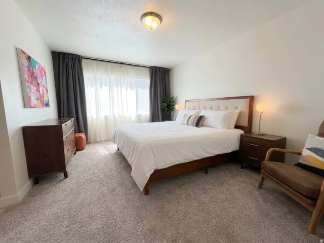 Wall-to-wall carpeting and a ceiling-mounted light fixture