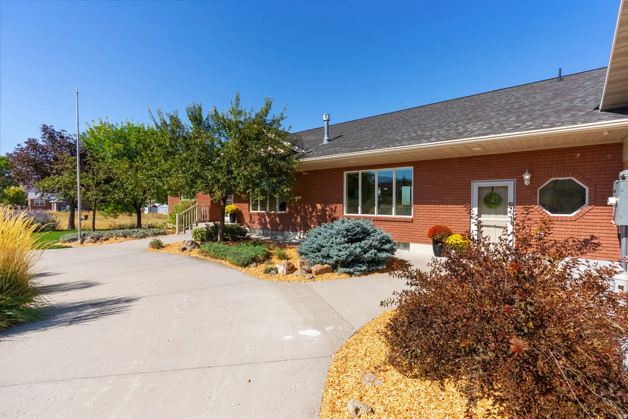 Red brick exterior with multiple windows, a composite shingle roof, a concrete driveway, and established landscaping with mature trees