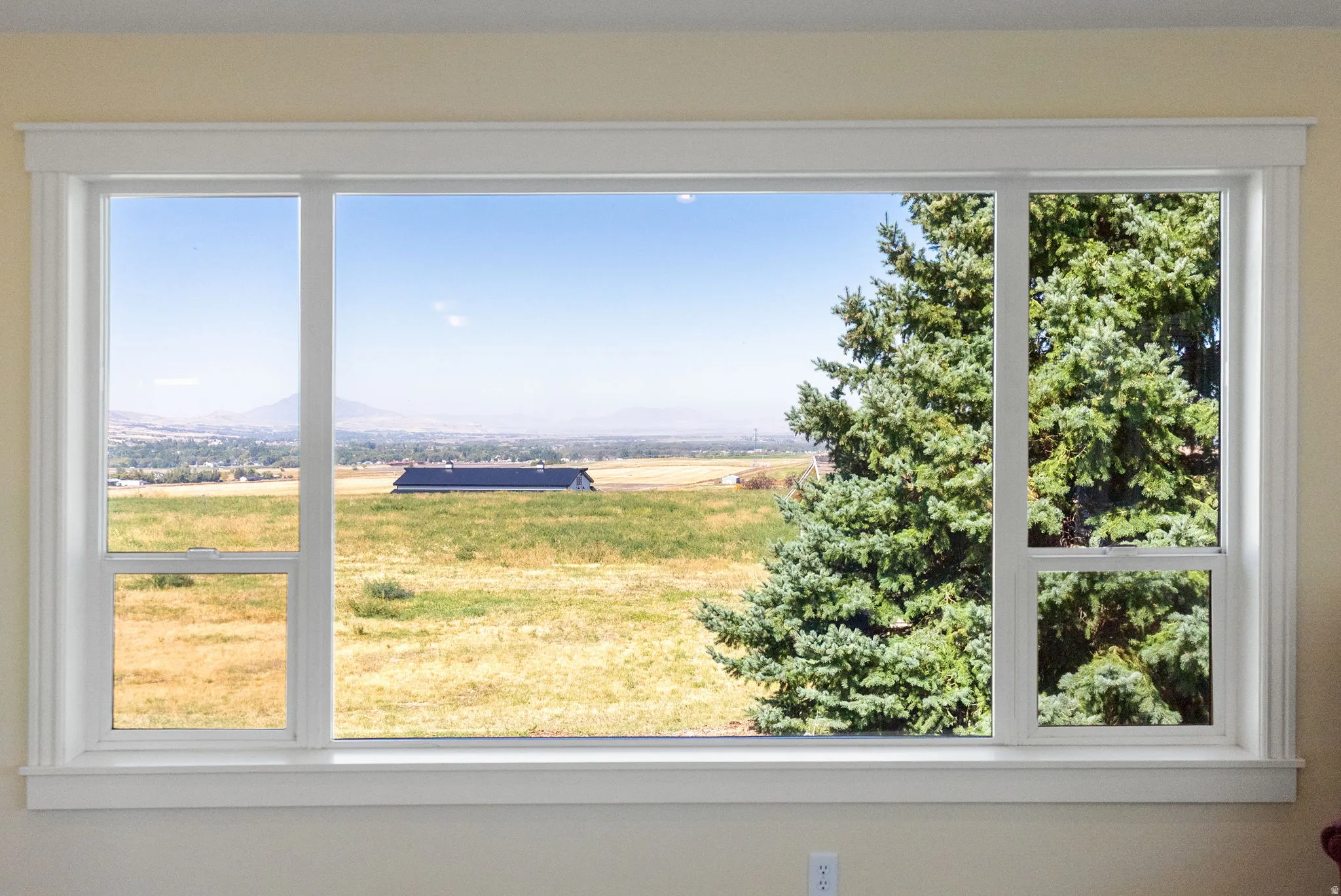 Expansive picture window with white trim, offering a broad scenic backdrop with distant mountains and a prominent evergreen tree