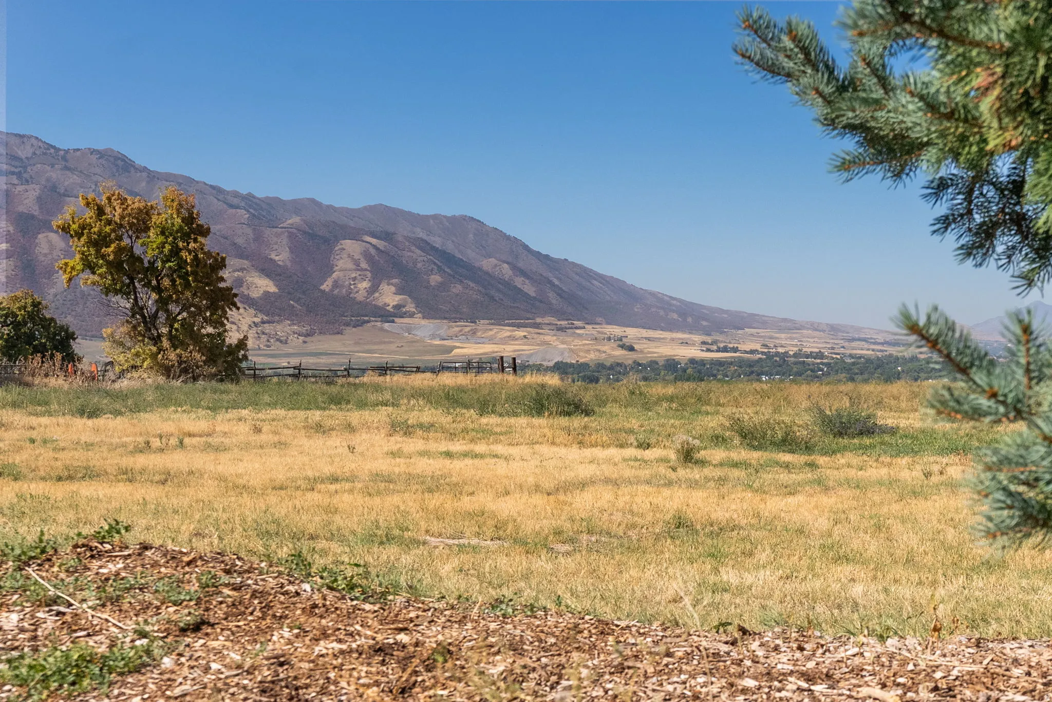 Expansive natural landscape with distant mountain ranges and scattered trees