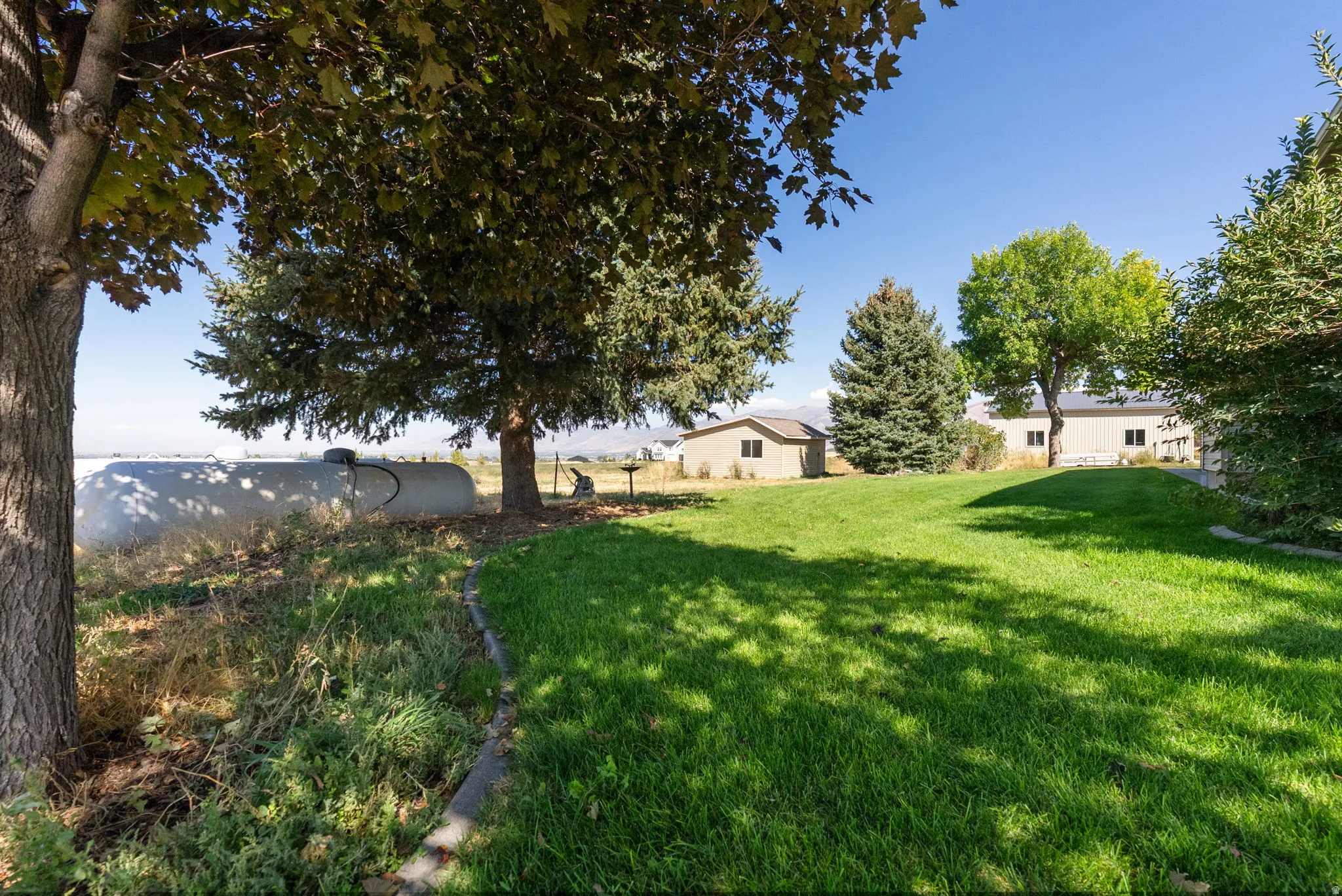 Expansive yard space featuring a manicured lawn, established mature trees, and a concrete curbing border