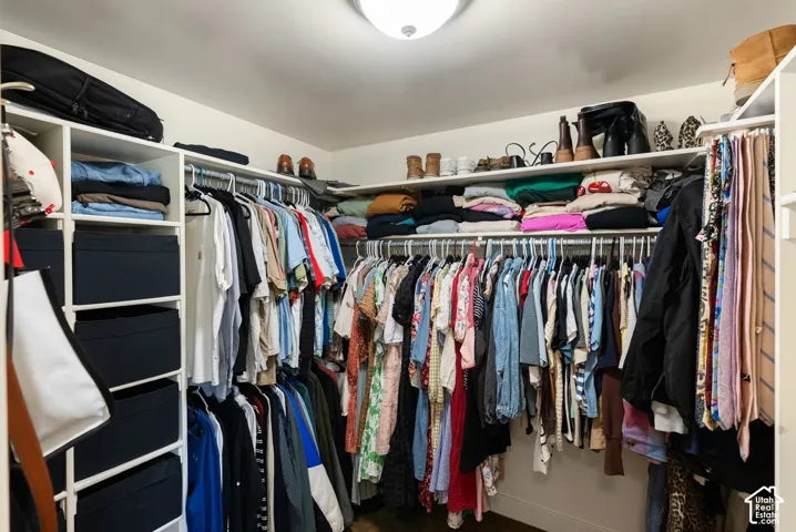 Built-in closet system with shelving, hanging rods, and an overhead light fixture