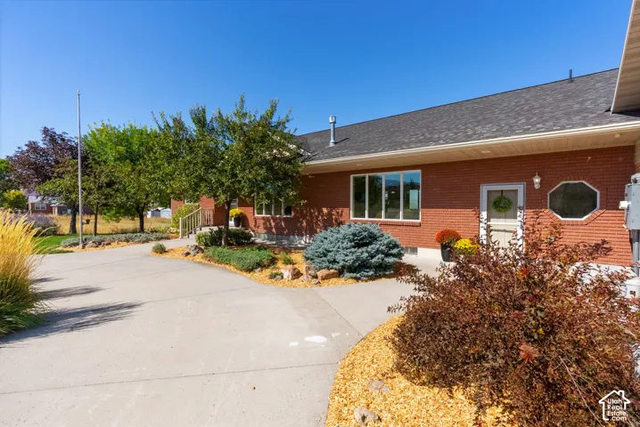 Red brick exterior with multiple windows, a composite shingle roof, a concrete driveway, and established landscaping with mature trees