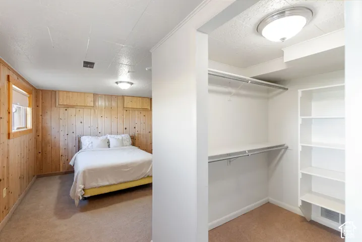 Wood-paneled accent wall, neutral carpeting, flush-mount ceiling lighting, and a closet with built-in shelving and hanging rods