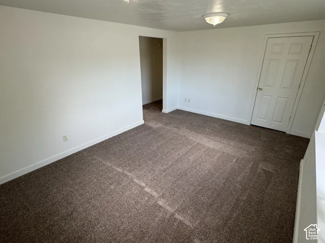 Textured brown carpeting, white walls, white trim, white paneled door, and a flush-mount ceiling light fixture