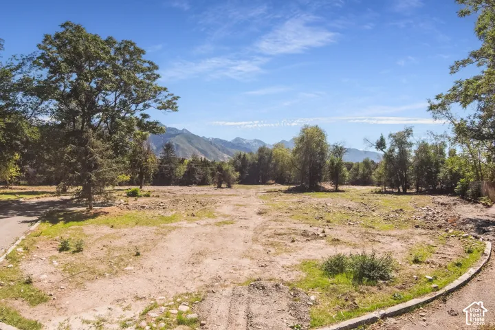 Expansive lot with mature trees and a paved edge, featuring a mountain backdrop and clear blue skies