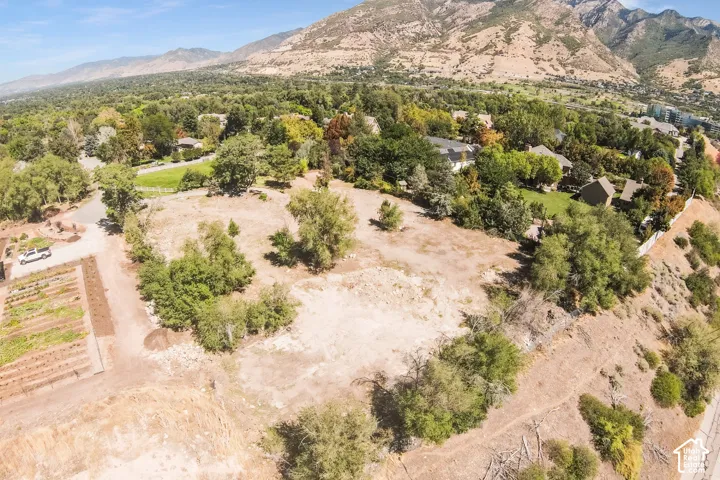 Expansive undeveloped land with a mountainous backdrop and established trees