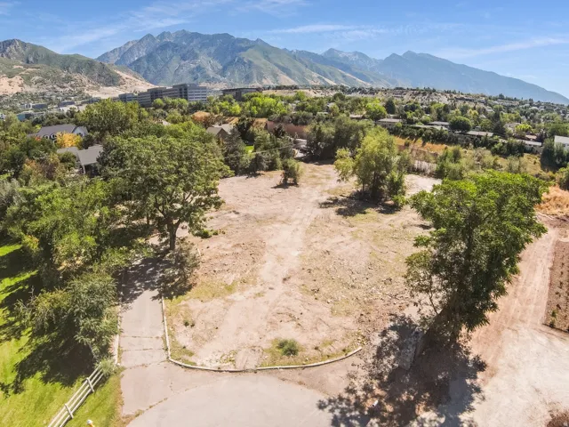 Expansive vacant lot with mature trees, paved access, and a distant mountain backdrop