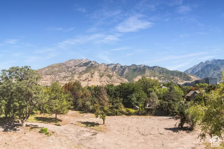 Expansive property with mountainous scenery, mature trees, and natural terrain