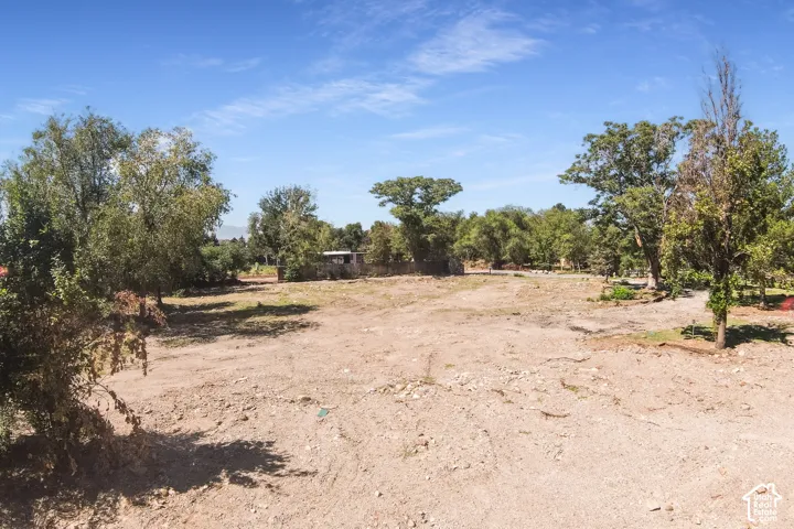 Expansive undeveloped lot with scattered mature trees and distant mountain ranges