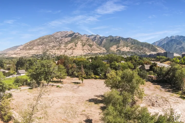 Expansive undeveloped land featuring mature trees and mountain scenery