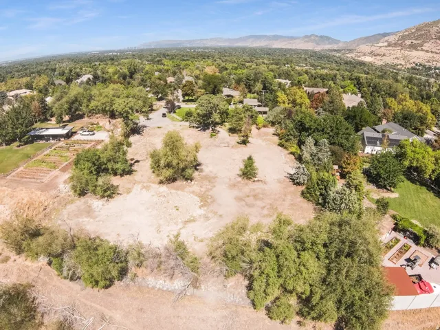 Expansive, undeveloped lot with mature trees