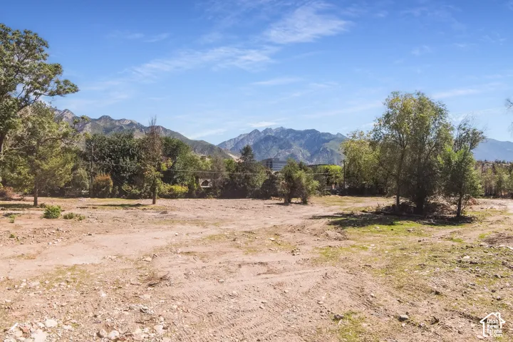 Expansive land parcel featuring mature trees and mountain backdrop