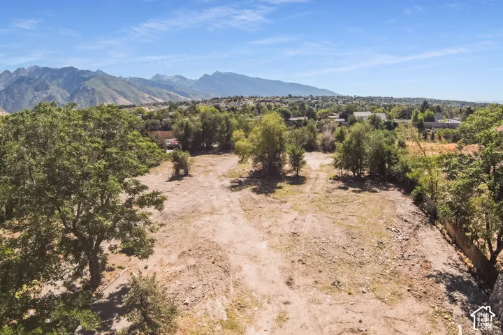 Expansive open land with mature trees and mountain scenery