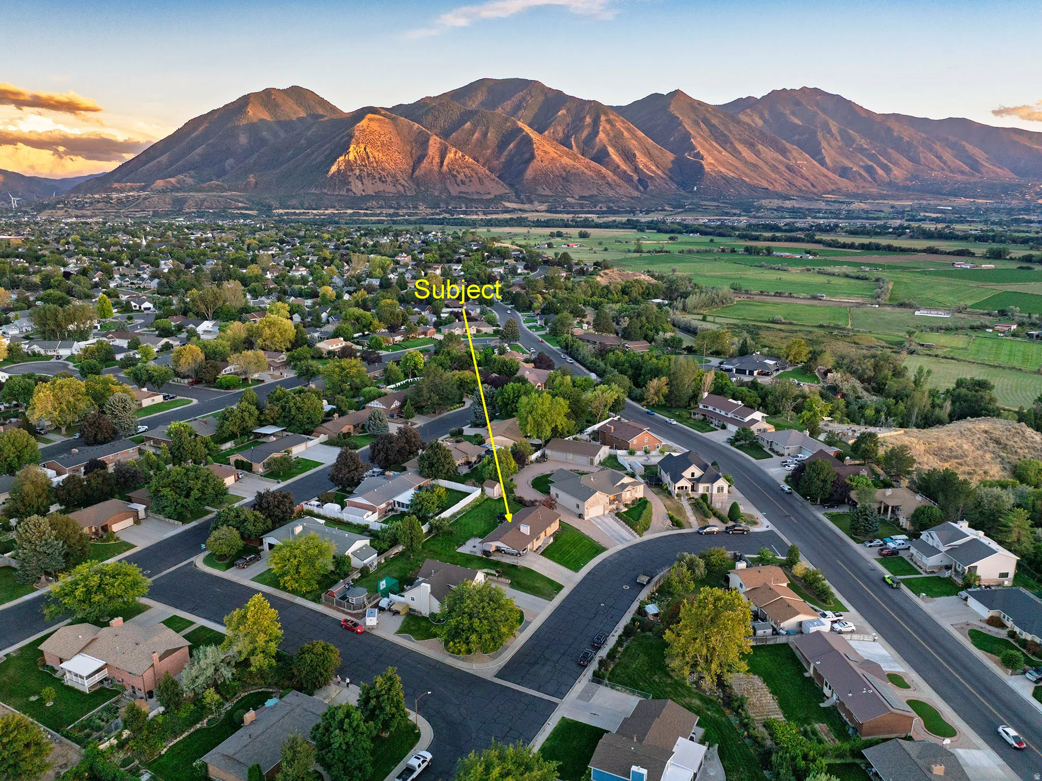 Residential neighborhood featuring mature trees and mountain backdrop