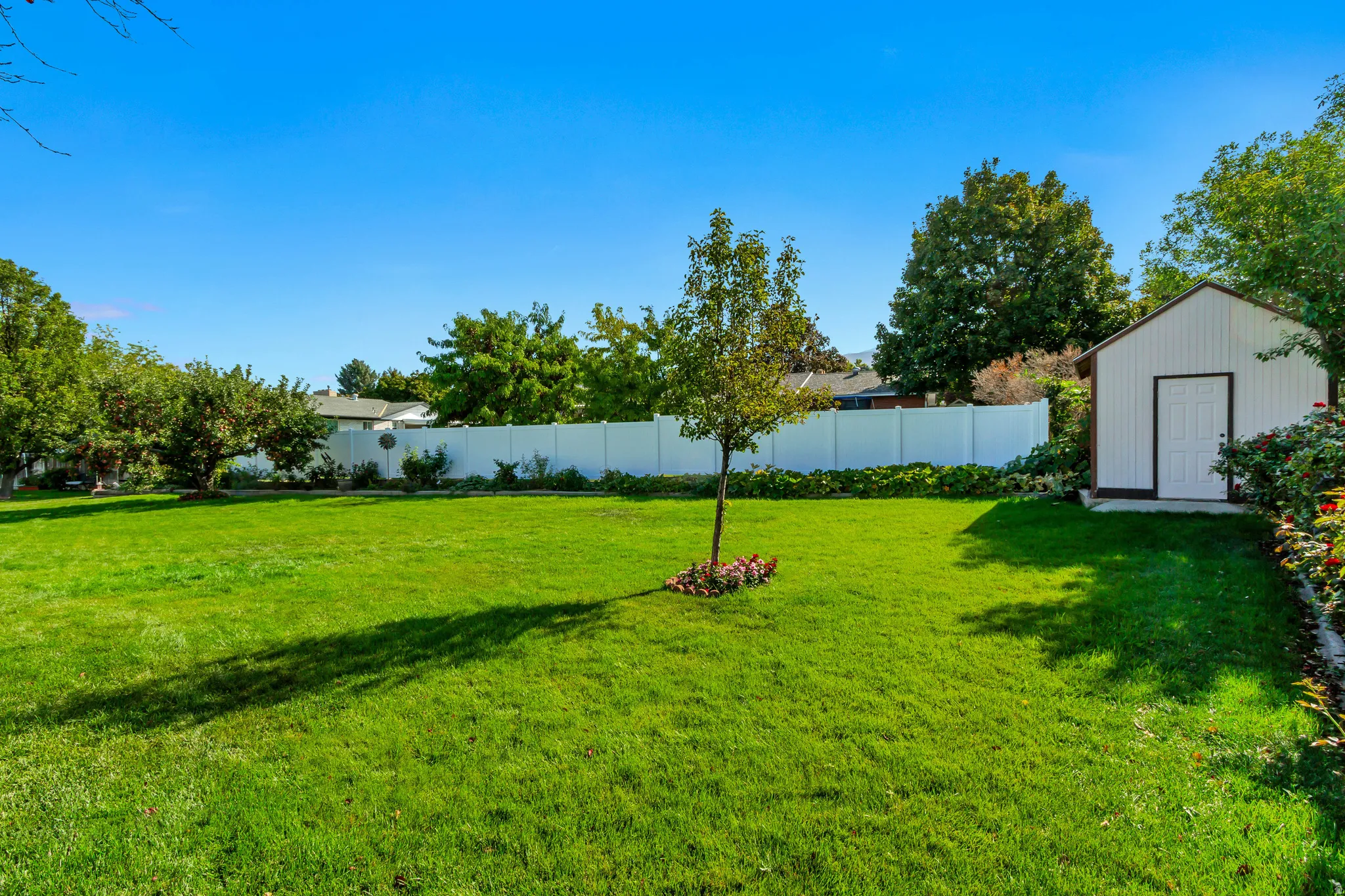 Expansive lawn with mature trees and a dedicated storage shed