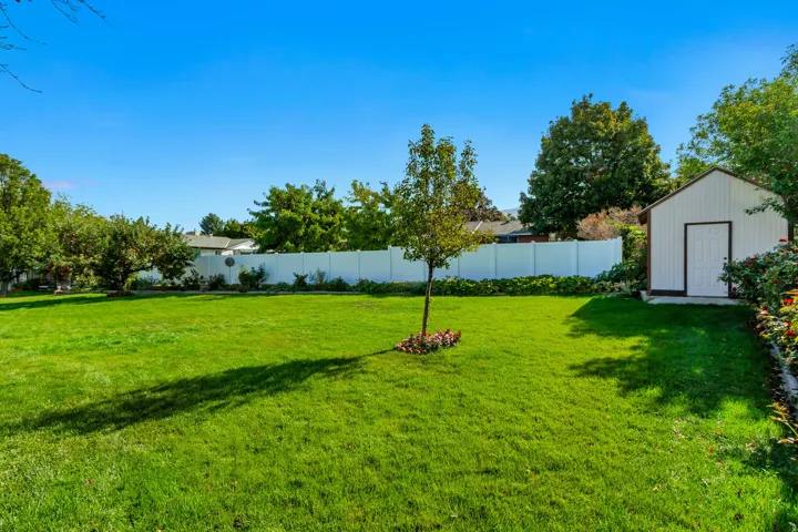 Expansive lawn with mature trees and a dedicated storage shed