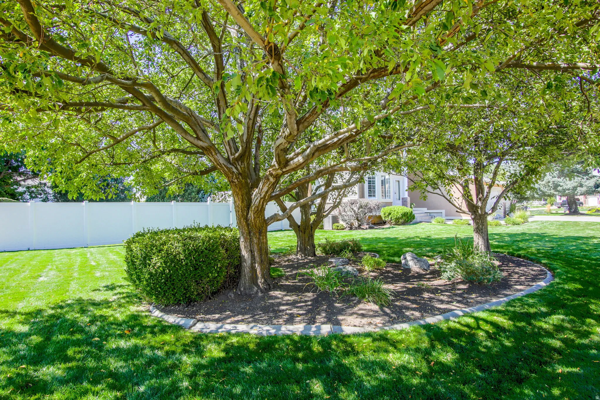 Look at this amazing  South front yard with mature trees!