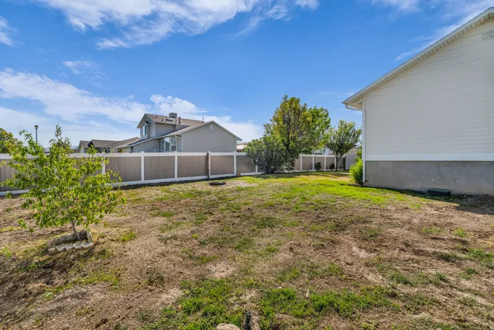 Expansive backyard space with partial grass coverage, a young tree, and a vinyl privacy fence with white posts