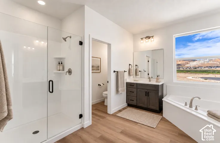 Primary bathroom walk-in shower with clear glass enclosure and built-in shelving, soaking tub with brushed nickel fixtures, wood-finish flooring, vanity with dark cabinetry, and large window