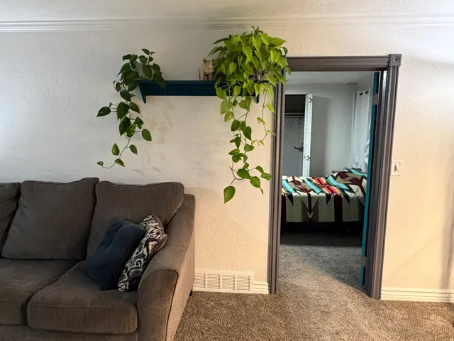 Carpeted flooring throughout