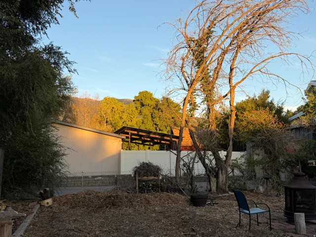 Expansive outdoor space featuring mature trees and a privacy fence