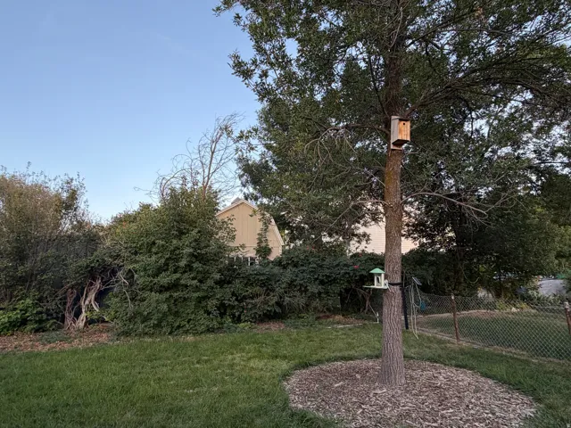 Expansive green lawn with mature trees and established perimeter landscaping