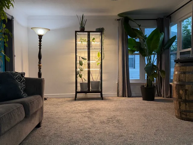Carpeted flooring, white walls, baseboard trim, and a window with curtain rods