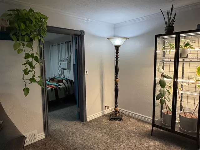 Wall-to-wall carpeting and crown molding