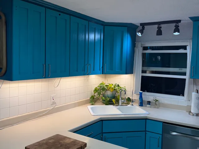 Blue cabinetry, white square tile backsplash, track lighting, dual basin sink, and a built-in dishwasher