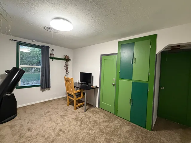 Built-in storage cabinetry with varying green finishes, plush carpet flooring, and a single window with green trim