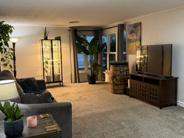 Carpeted living area with a large window, white walls, and crown molding
