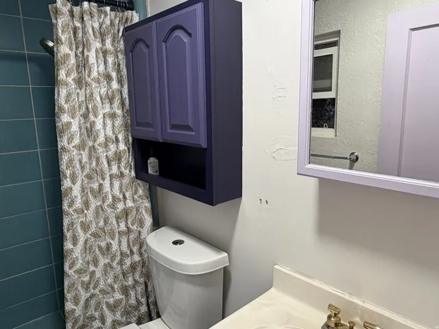 Wall-mounted cabinet with two doors and open shelving, complemented by a vanity with an integrated sink and gold-tone fixtures