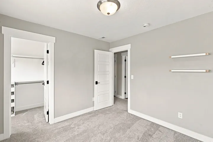 Plush carpeted flooring, a semi-flush mount ceiling light, a built-in closet with shelving and clothing rods, and a five-panel interior door with matte black hardware