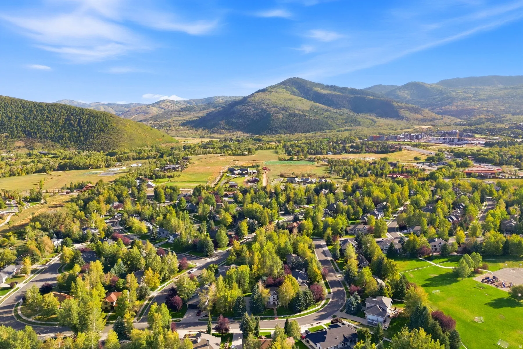 Lush green landscape featuring mature trees and winding roads